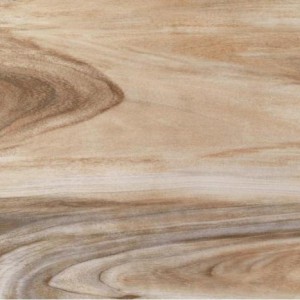 Gạch lát sàn Trường Thịnh WOOD SERIES 69EL856M1